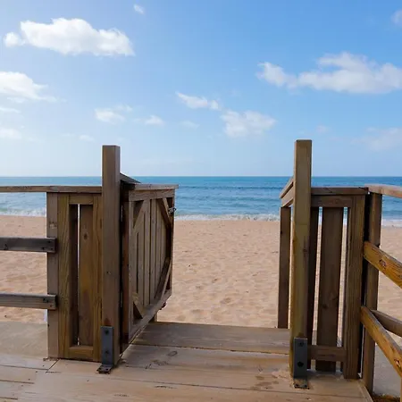 Golden & Rooftop Bar 法鲁区